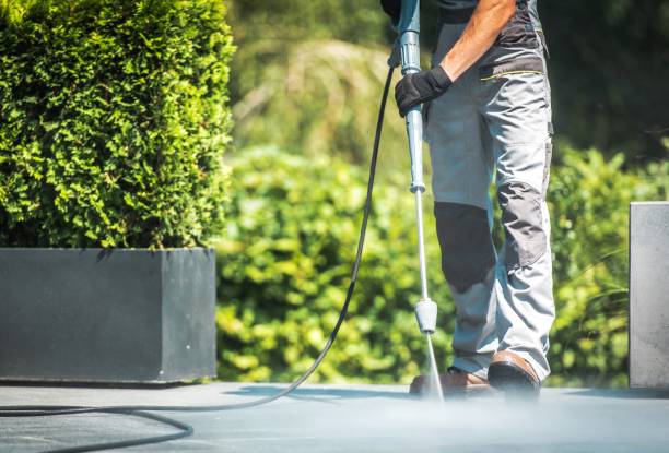 Best House Exterior Washing  in Iva, SC